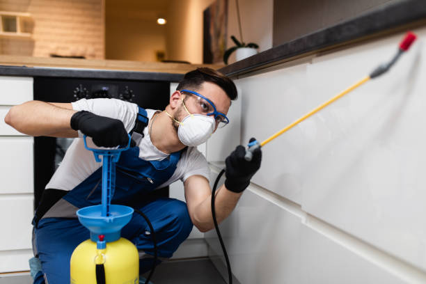 Pest Control Cost in Jackson, KY