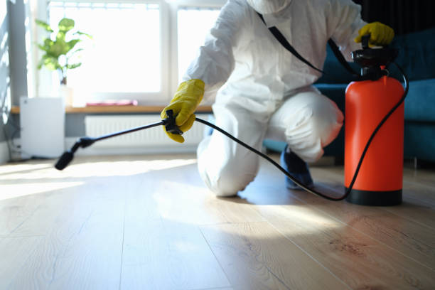 Pest Control for Restaurants in Jackson, KY