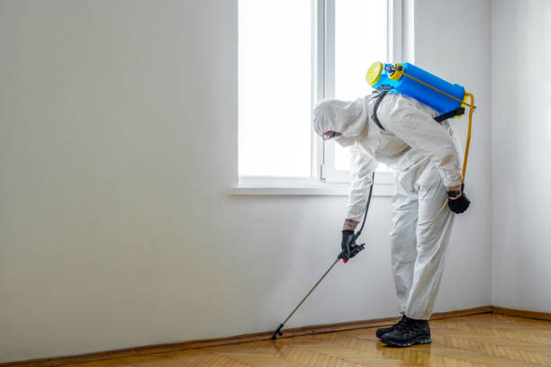 Trusted Jackson, KY Pest Control Experts